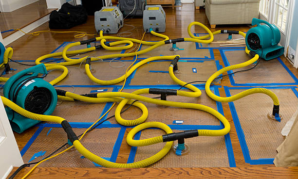 Professional Basement Flood Cleanup technician working in West River, MD